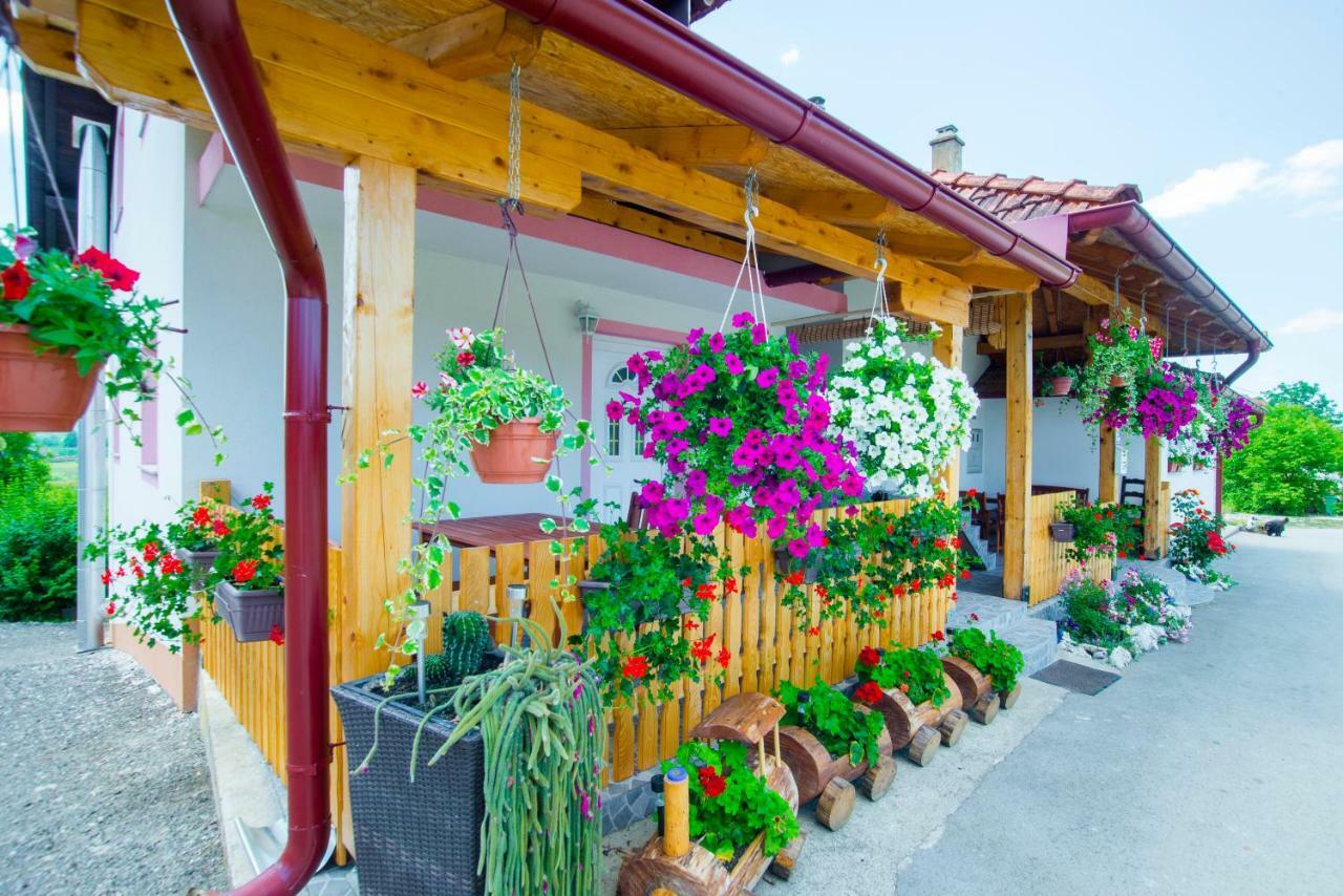 Guesthouse Ella Slunj Exterior photo